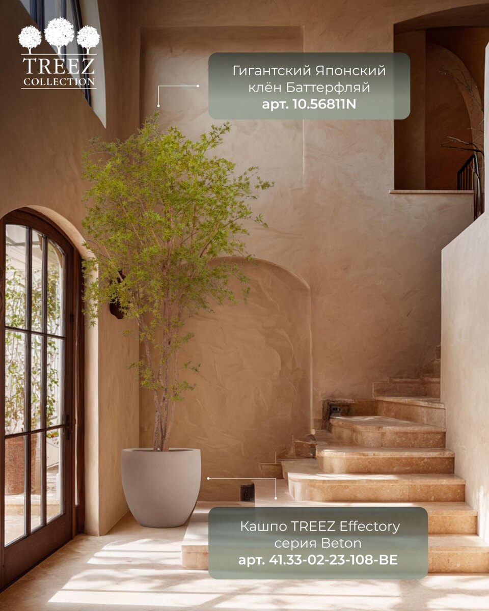 Кашпо и растения TREEZ Collection