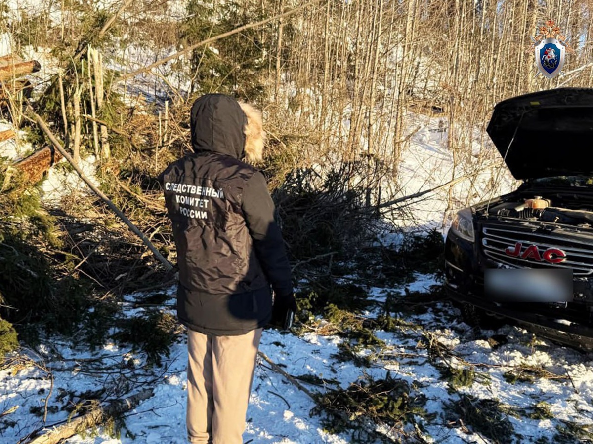    Фото: Следком Карелии