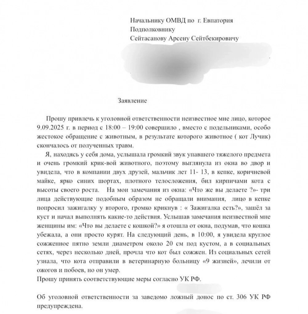    Предоставленное "АиФ-Крым" заявление об одном из инцидентов. Фото: личный архив/ Екатерина Радван