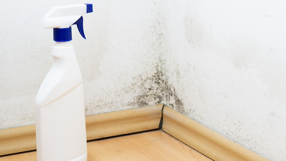    ShutterStock/Fotodom.ru