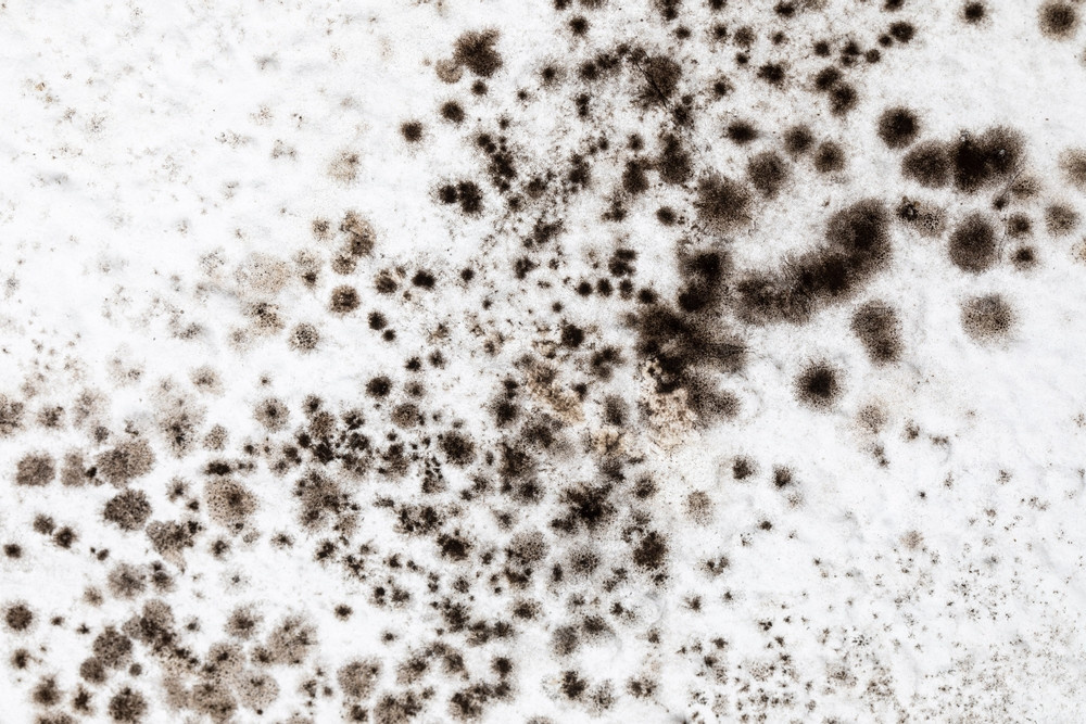    ShutterStock/Fotodom.ru