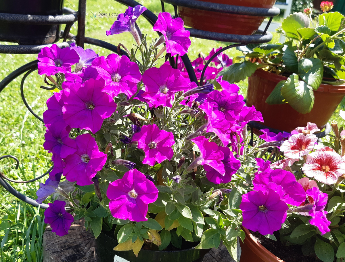 Фото из личного архива автора