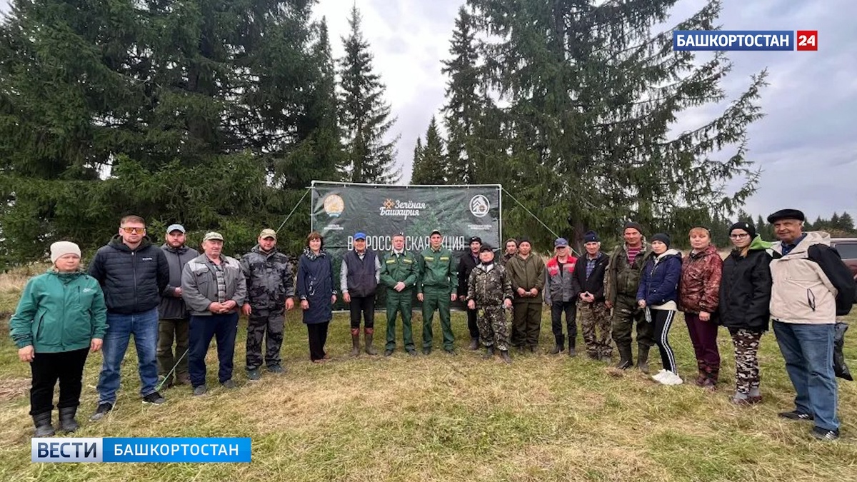    Башкортостан активно восстанавливает леса в рамках акции «Сохраним лес»