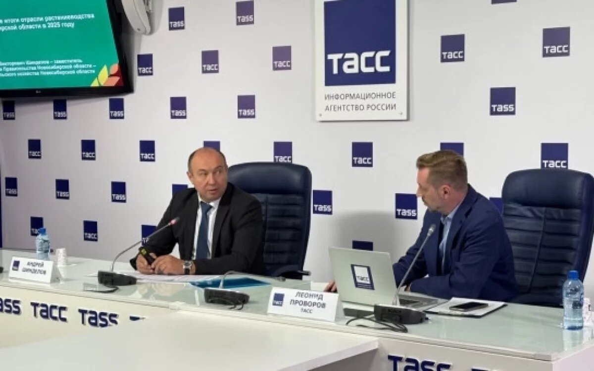    Около трех млн тонн зерна намолотили аграрии Новосибирской области