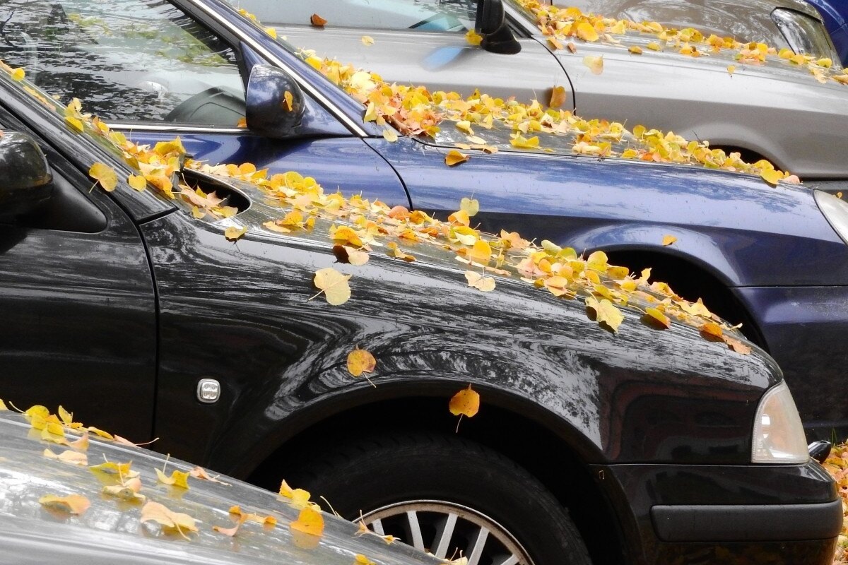     Не забудьте очистить дренажные отверстия на кузове перед зимой: вот как это сделать