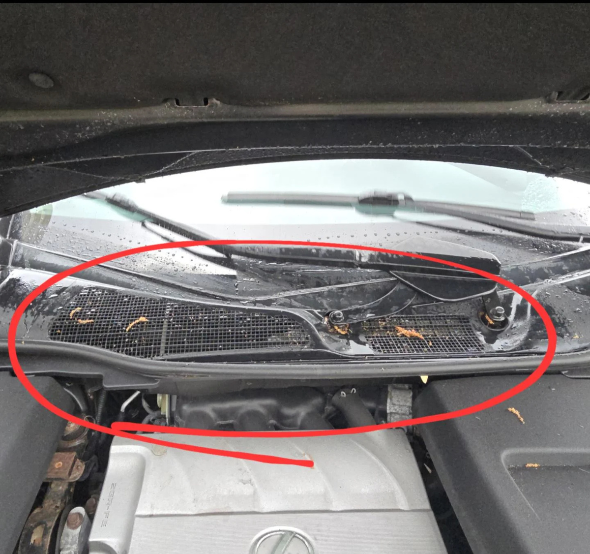    Mechanic Advice - Reddit