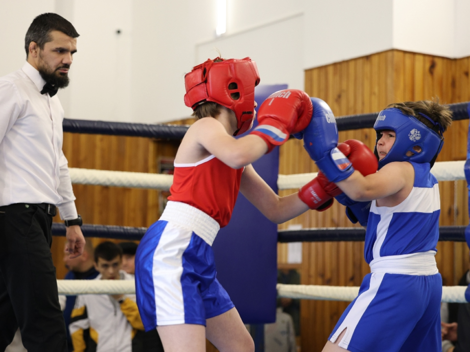    Фото: REGIONS/Ольга Пятикрестовская