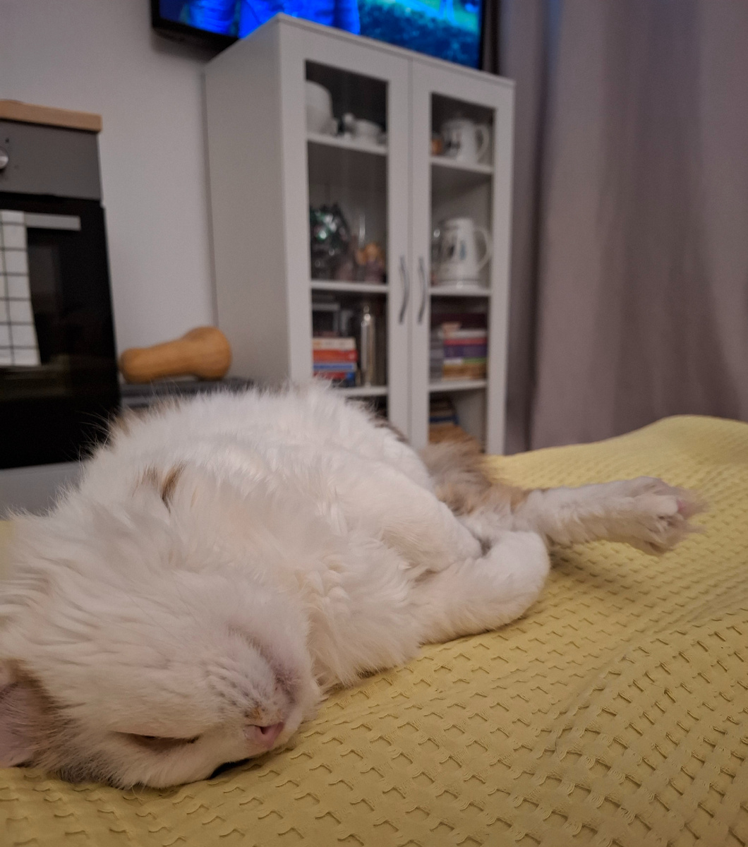 Умер от щастья 😂