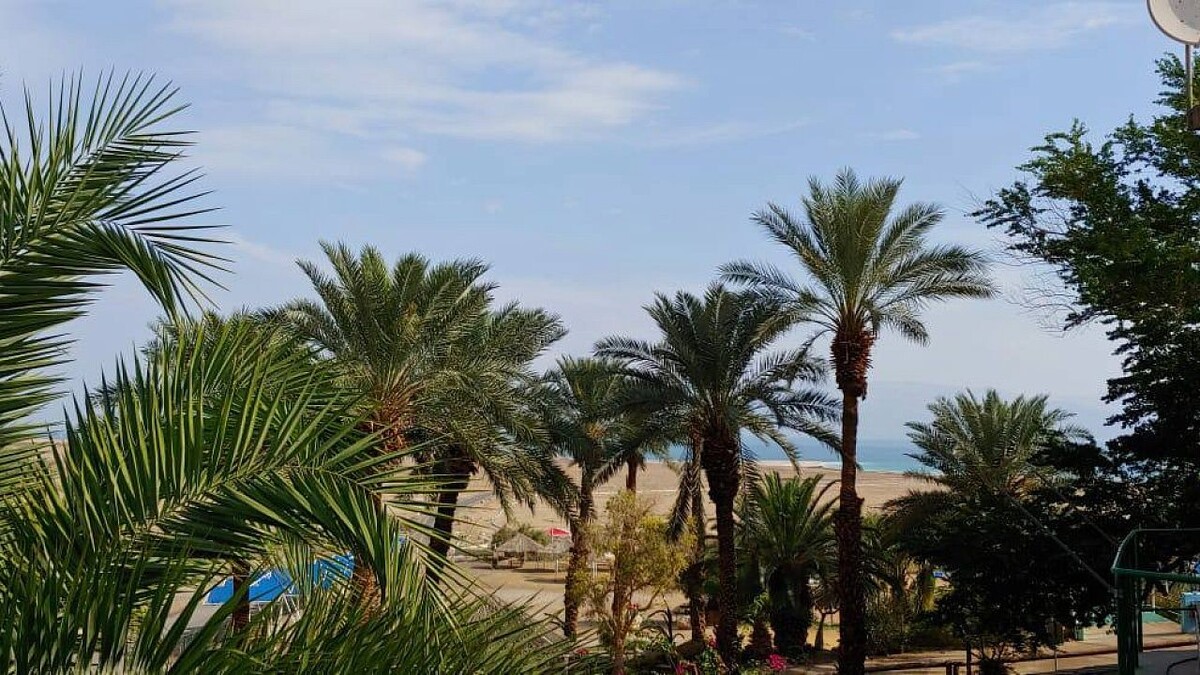    Фото: телеканал «Краснодар»