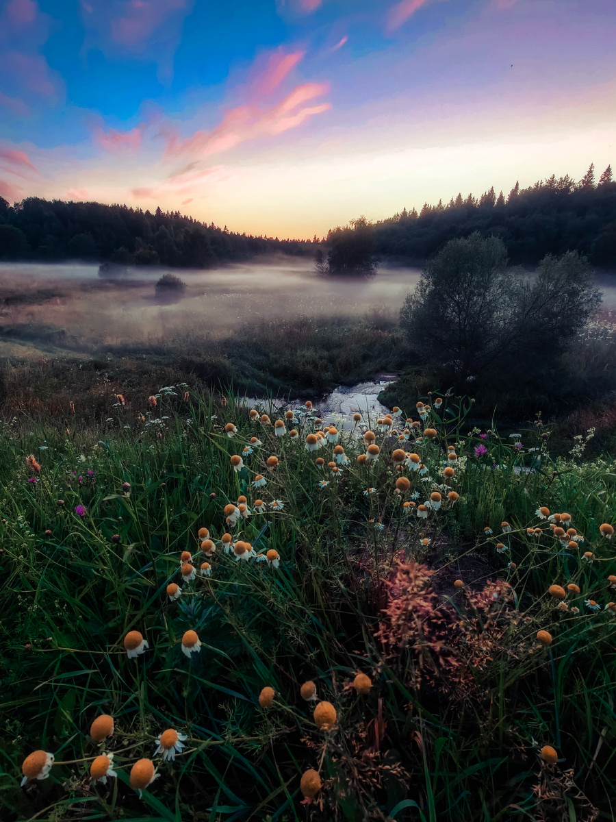 Снято на смартфон. Обработка фотошоп.