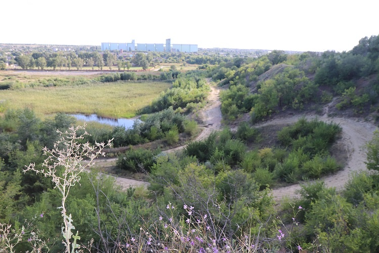    Фото из архива "РВ" Василий Шеин