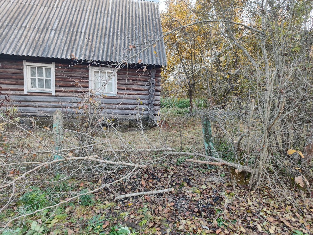 процесс пошел, не зря заказала пилу