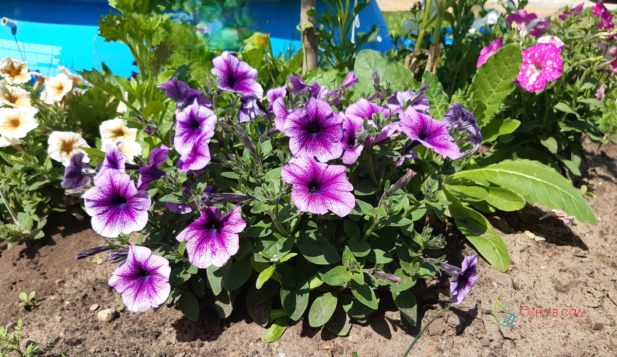 Фото из личного архива автора