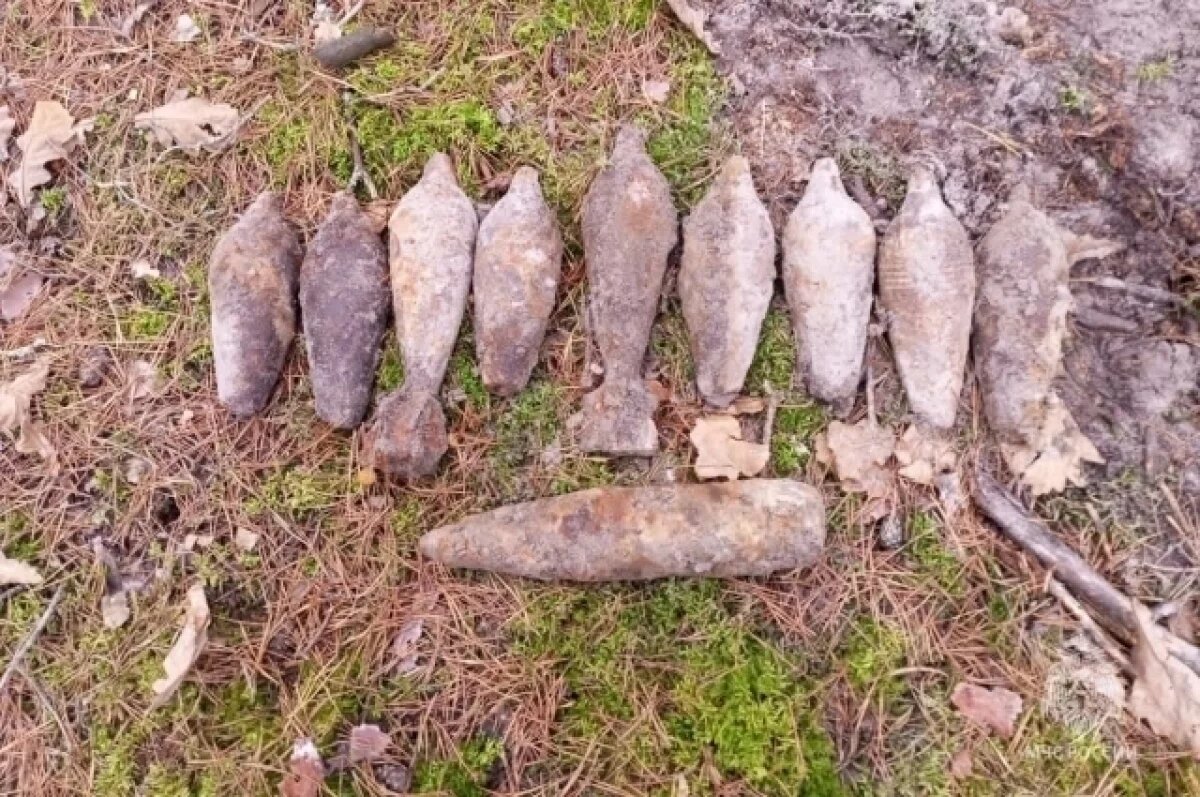    В Брянской области обезвредили арсенал времен Великой Отечественной войны