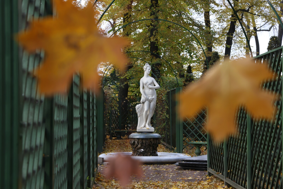 Фото: Олег Золото / «Петербургский дневник»
