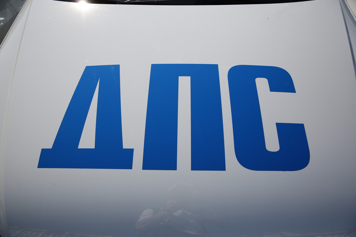 Фото: Дмитрий Фуфаев