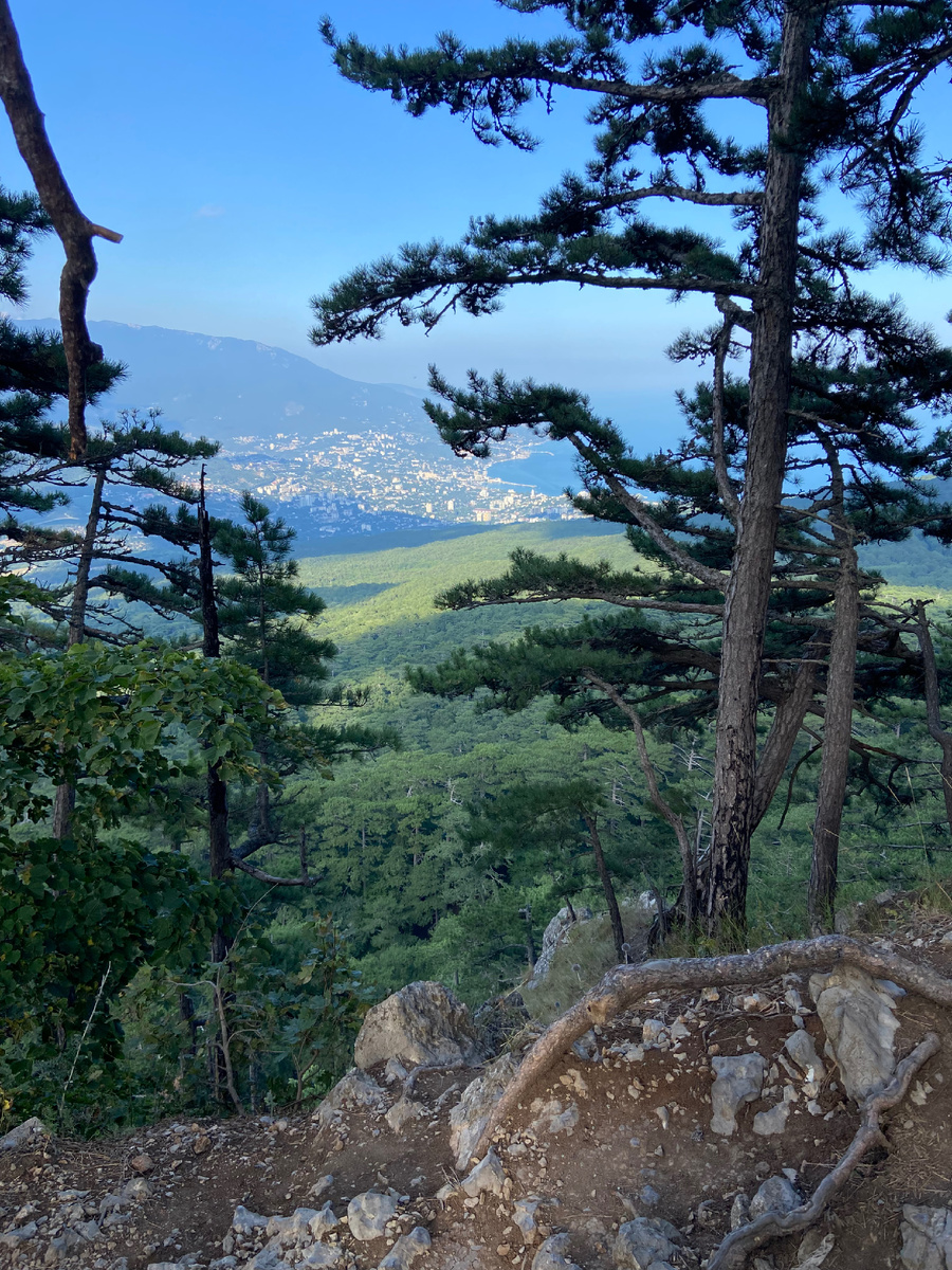 Фото из личного архива: вид с Ай-Петри, внизу Ялта и корабельные сосны