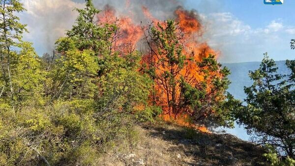   © Правительство Севастополя