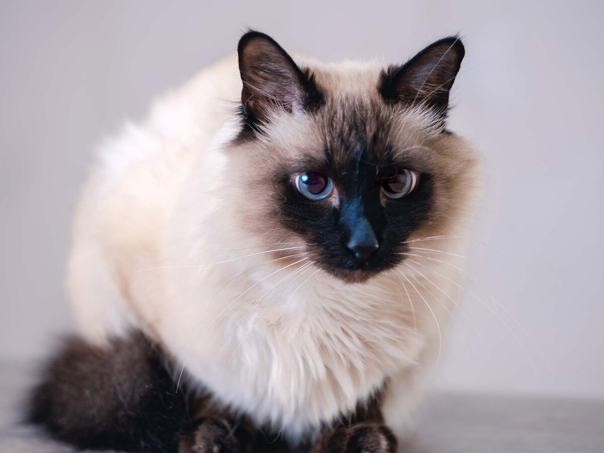 открытые источники итернет