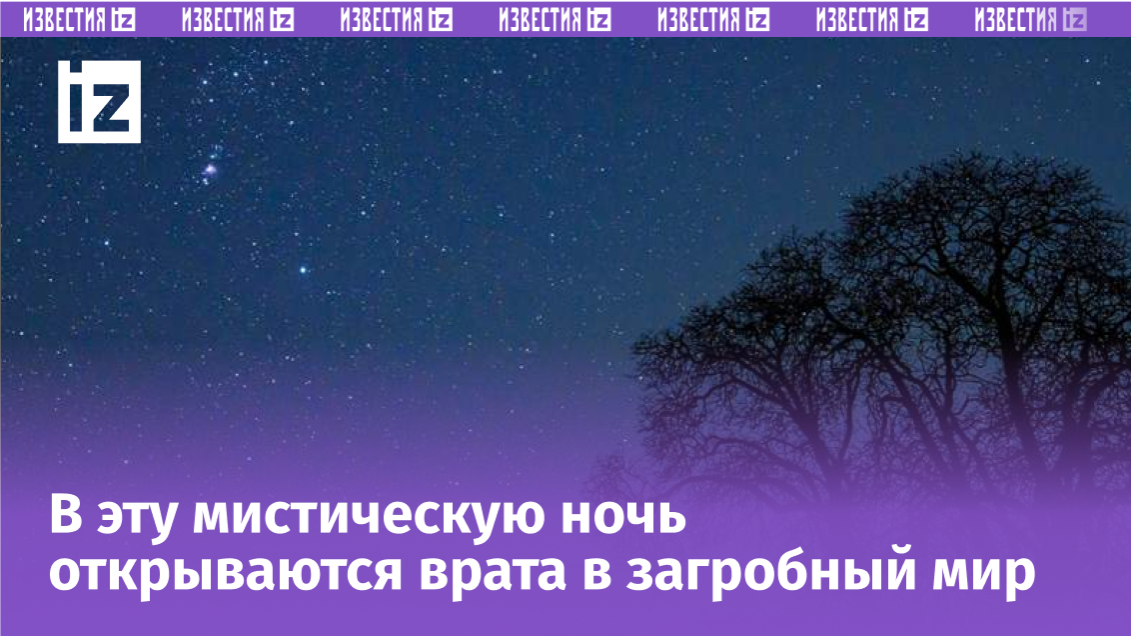 Фото: Global Look Press/Patrick Pleul