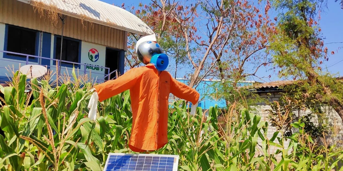 Умное пугало на солнечной батереи 