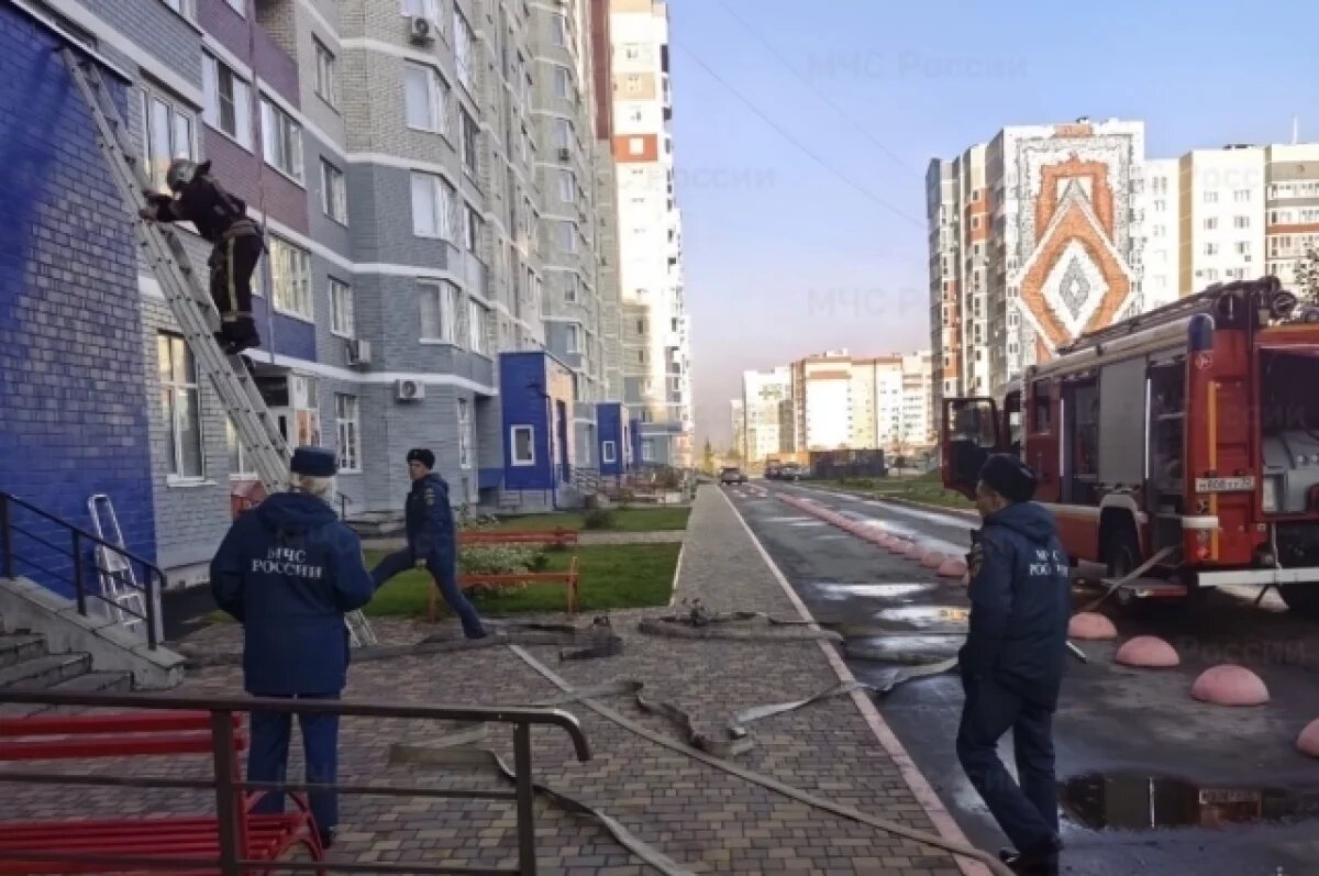    Спасатели эвакуировали двух человек на пожаре в Советском районе Брянска
