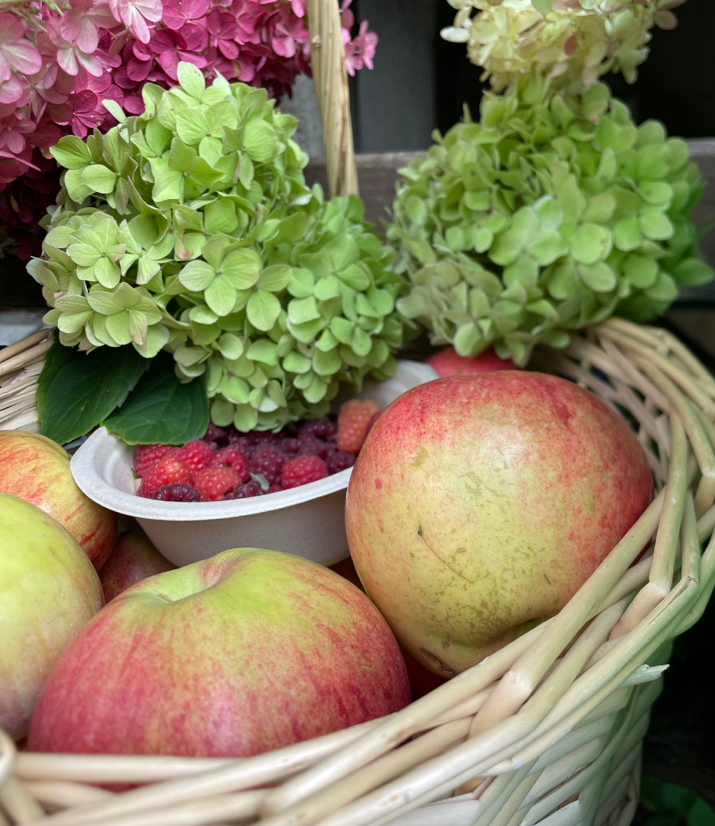 Сезон плодовых закончен