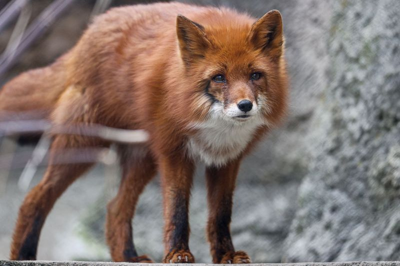    Сергей Булкин/NEWS.ru