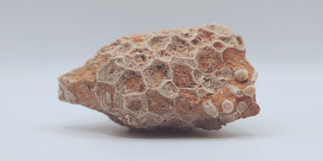 Геолого-минералогическая коллекция в Самаре