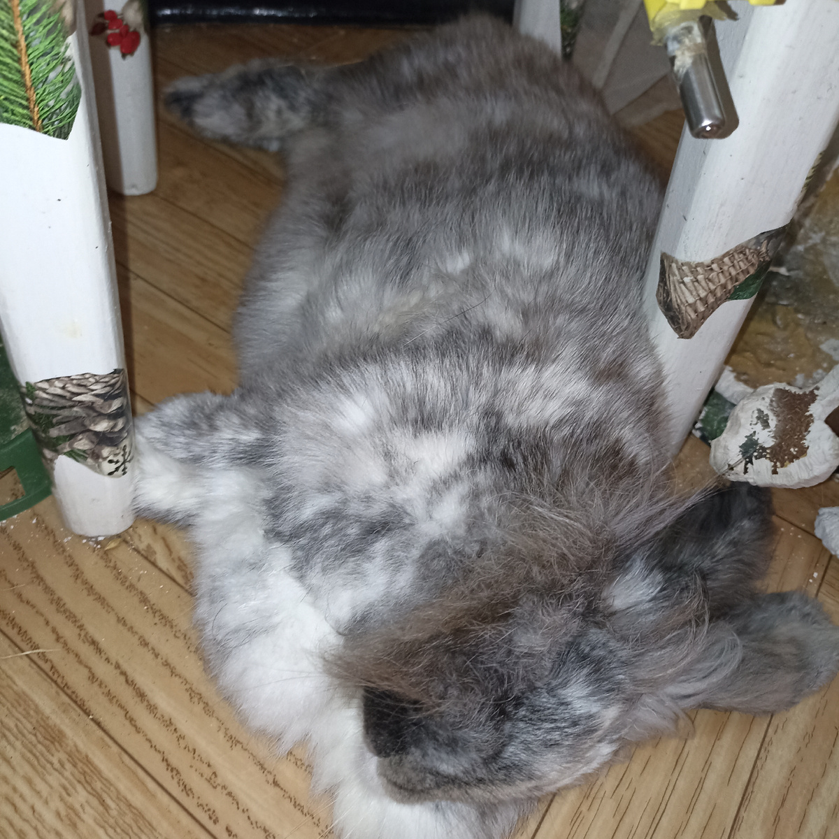 Бывало такое что трепыхали его  слегка ,звали,а он лежит обмякший!