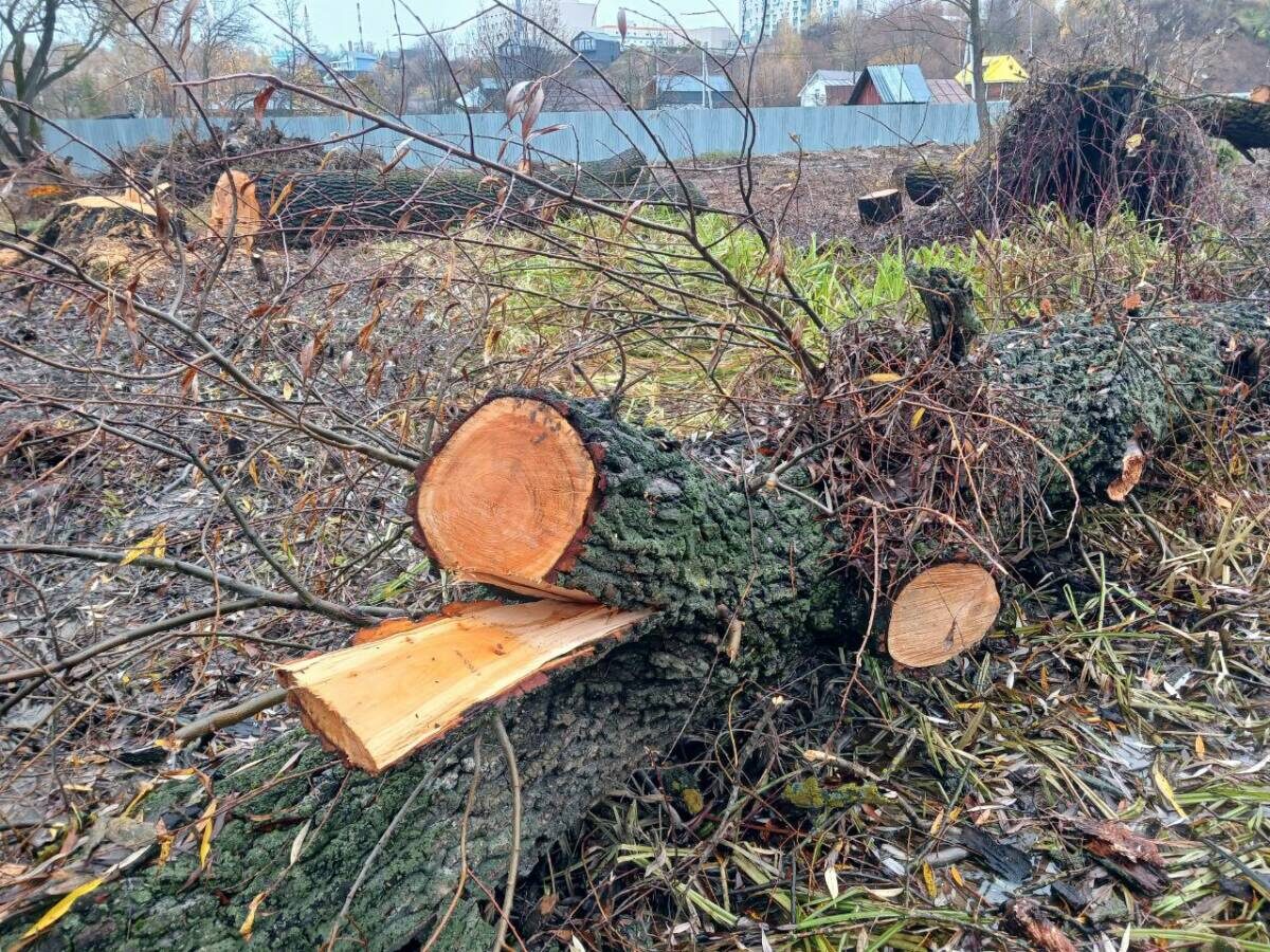 Фото: © Тимур Ескараев