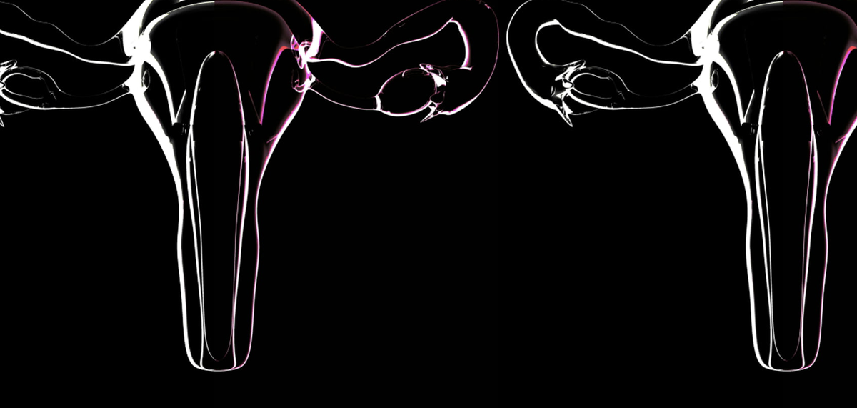 Фото: Shutterstock