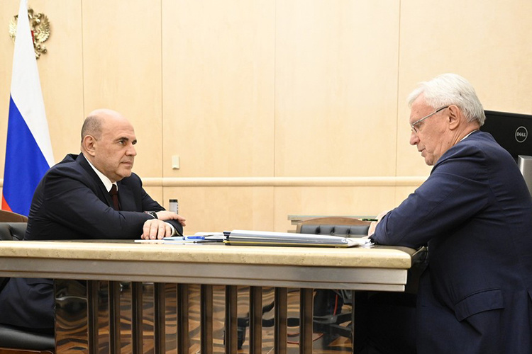    Михаил Мишустин встретился с генеральным директором ПАО «КАМАЗ» Сергеем Когогиным.   
Фото: government.ru