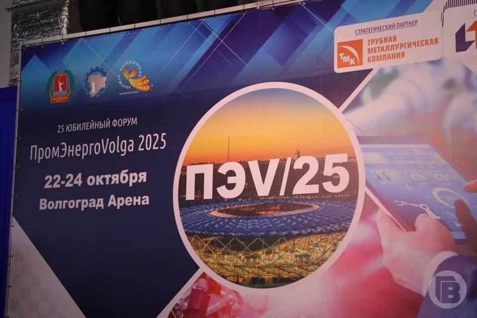    Фото: Матвей Горбунов / "Городские вести"