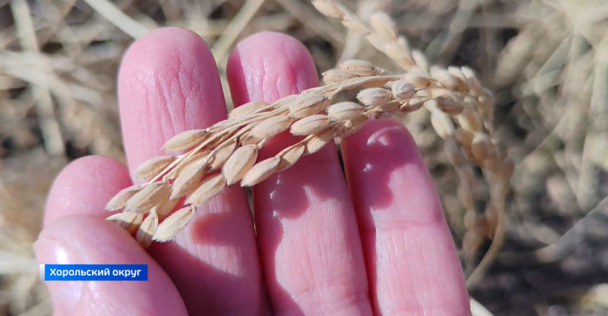    Источник фото: