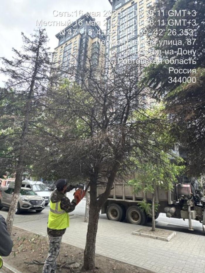 Иллюстрация: rostov-gorod.ru