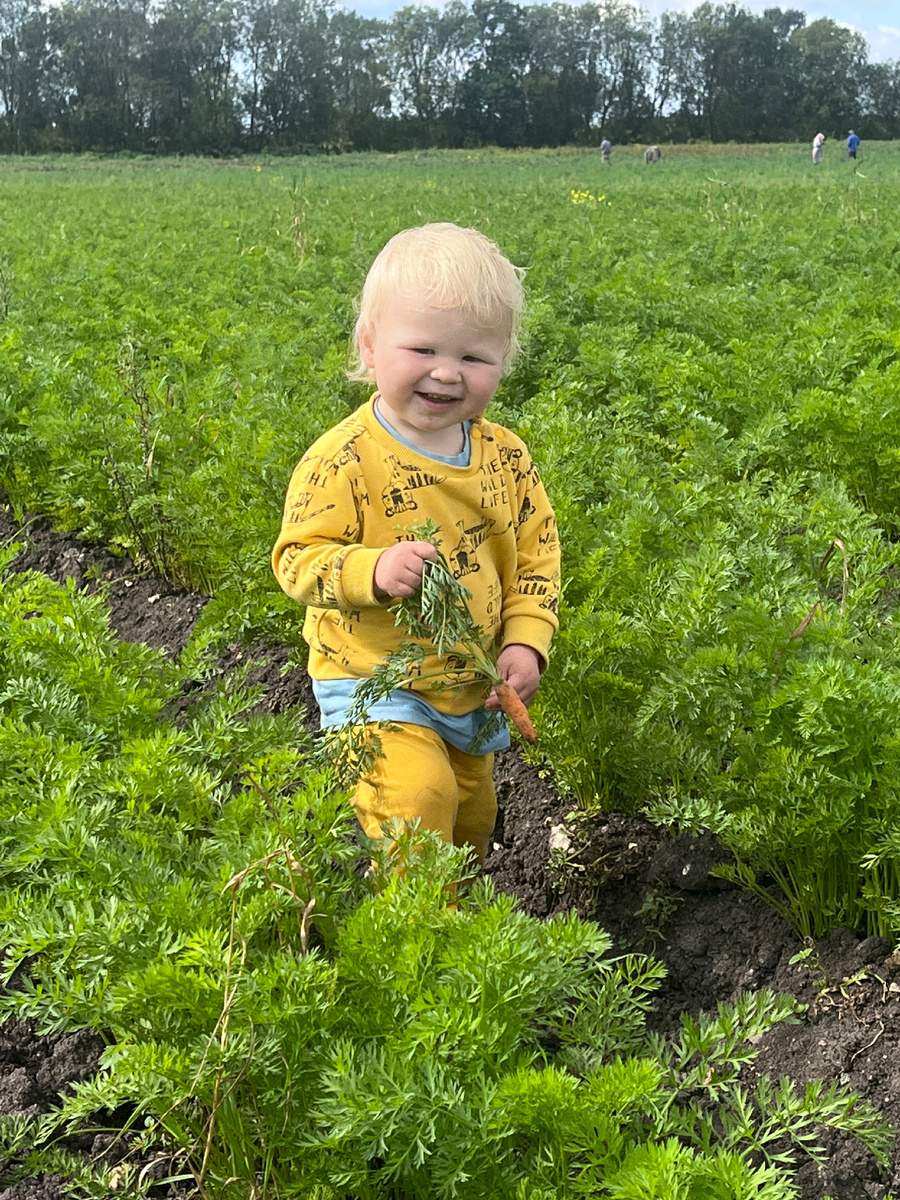 «Морковь» по-русски по-коми («морков») звучит почти одинаково