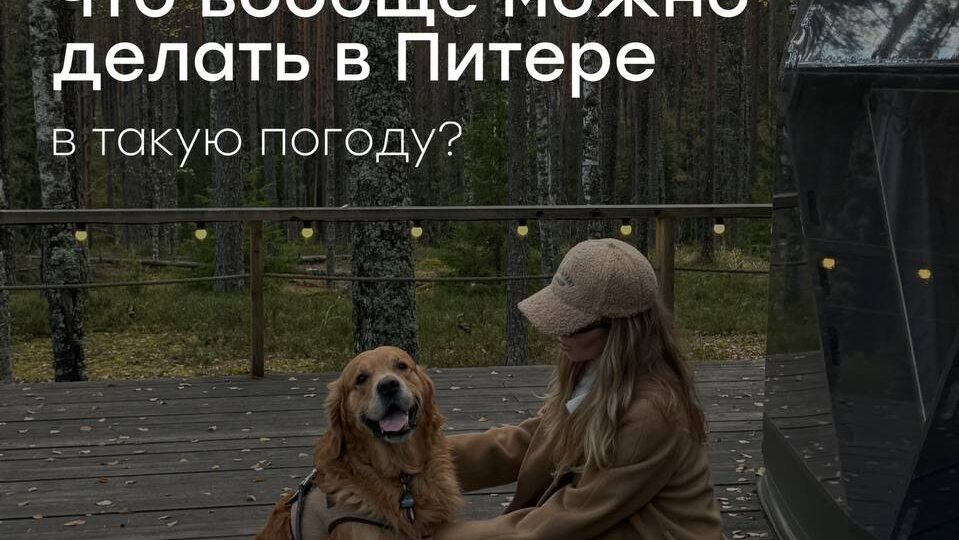 Если вы еще не орали на сосны в осеннем лесу, то рекомендуем поторопиться