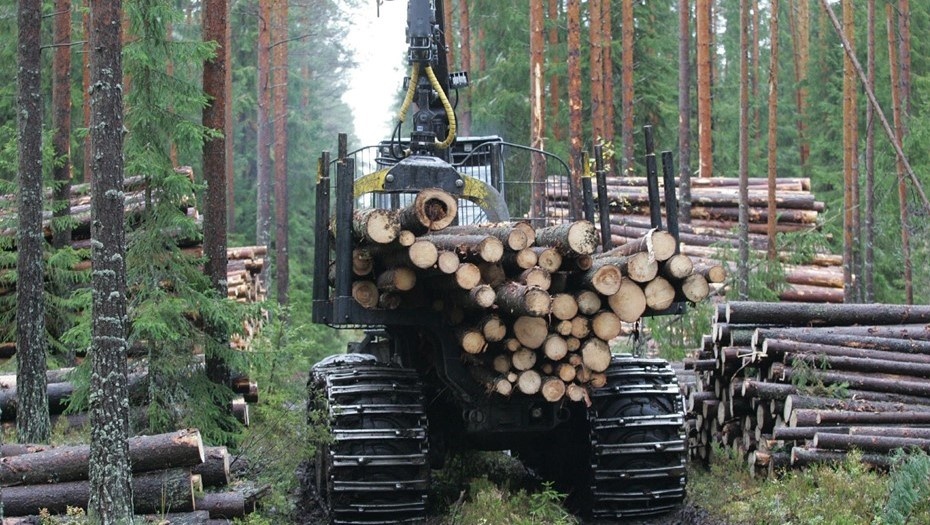 Автор фото: Евгений Асмолов / "Деловой Петербург"