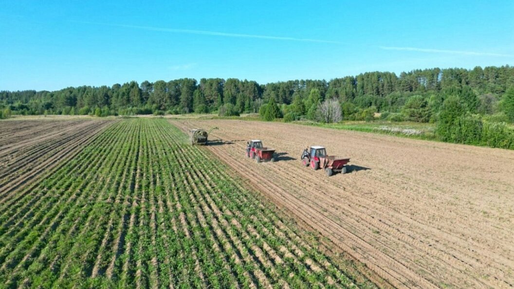    Фото: Правительство Архангельской области