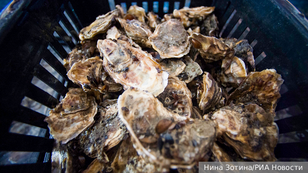     Фото: Нина Зотина/РИА Новости   
 Текст: Валерия Городецкая