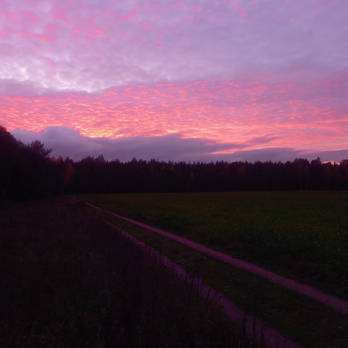 Моменты красоты, тишины и спокойствия
