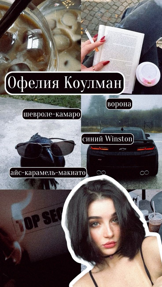 взято с открытого источника https://ru.pinterest.com/pin/599612137935248636/