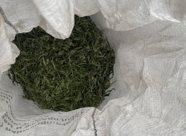    Фото: пресс-служба УМВД России по Рязанской области