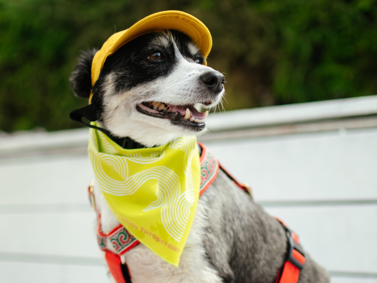 Источник: Институт развития городов Татарстана