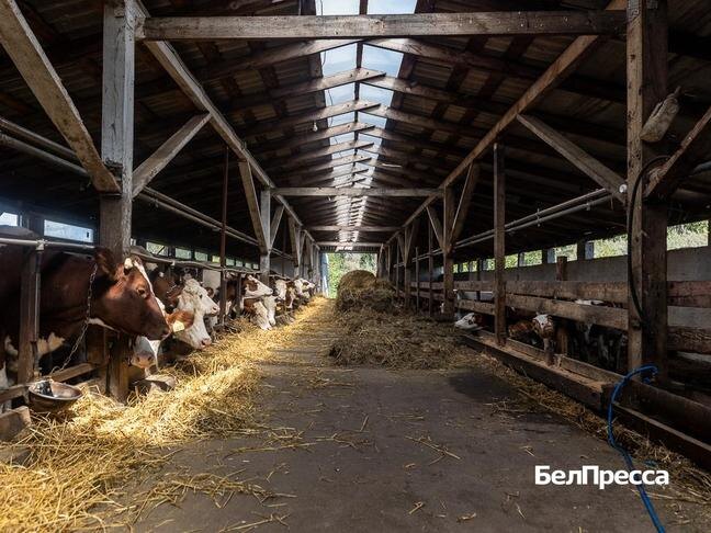 Фото: Алексей Дацковский
