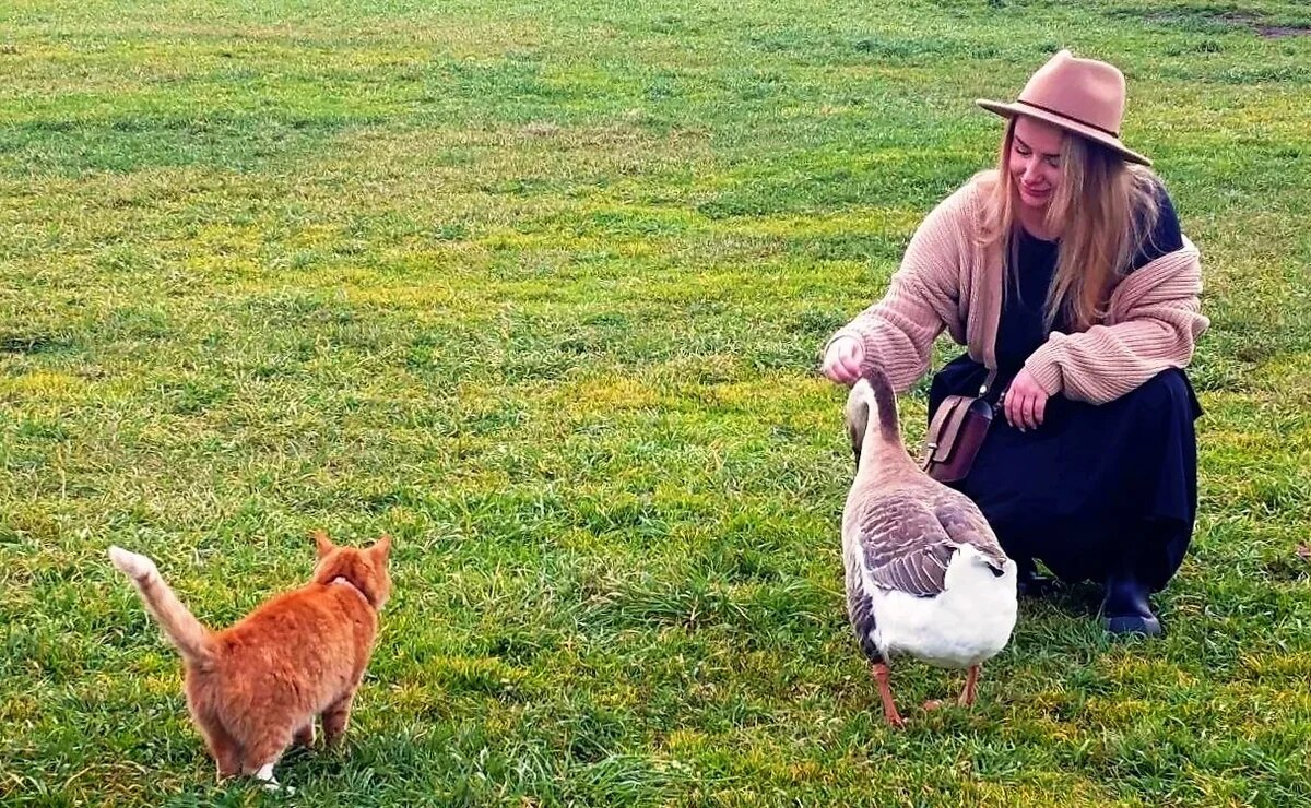    Землю – туристам: как упрощение перевода сельхозугодий оживит агротуризм