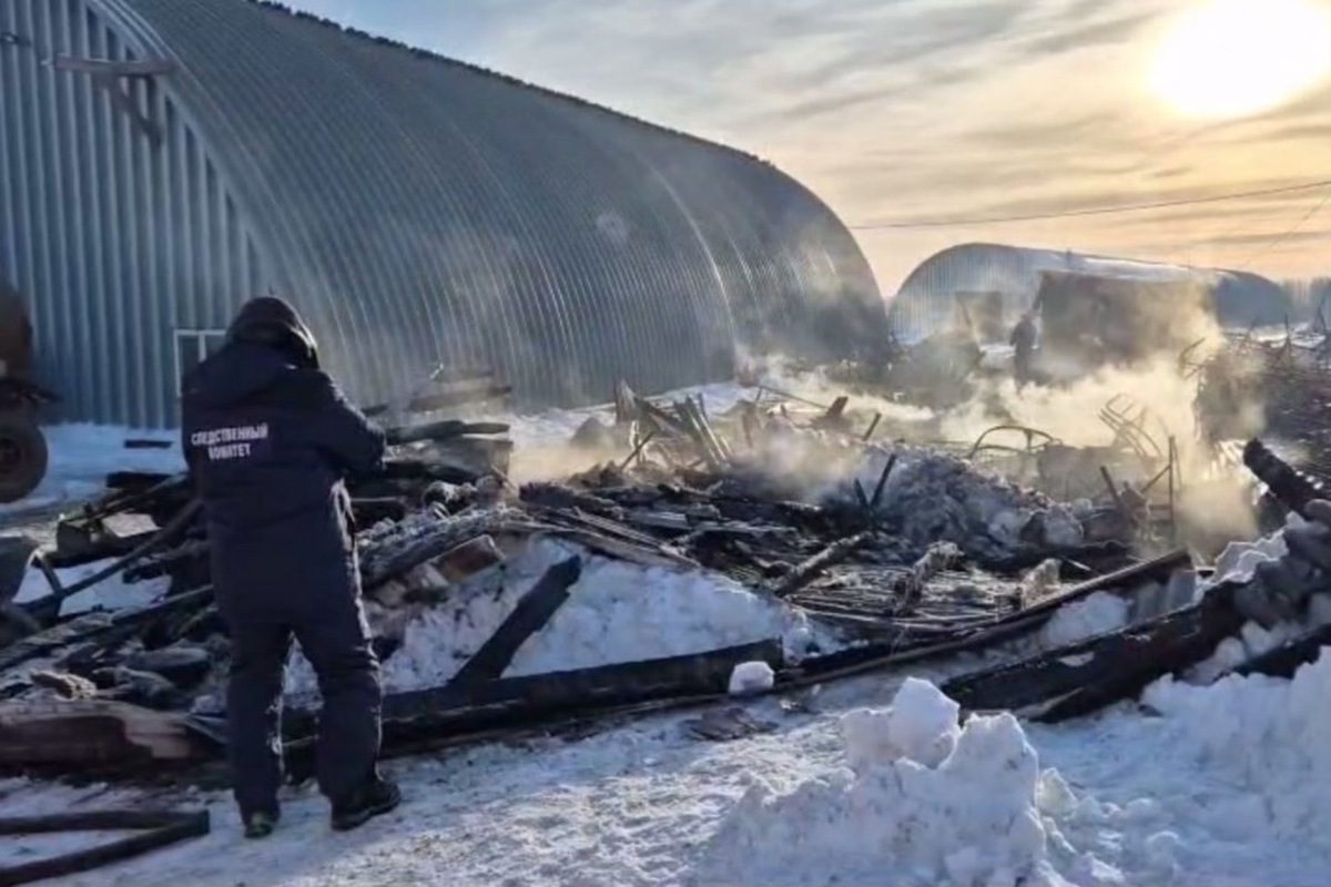   предоставлено СУ СК России по Татарстану