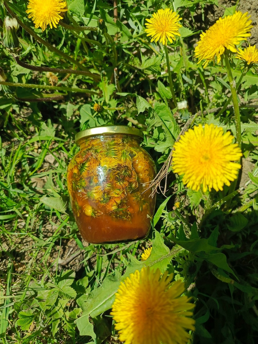 Энергия света и жизни в одной баночке.