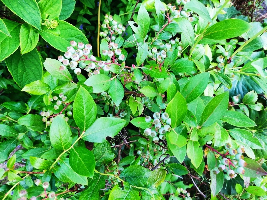 Фото 6 июля 2025 года